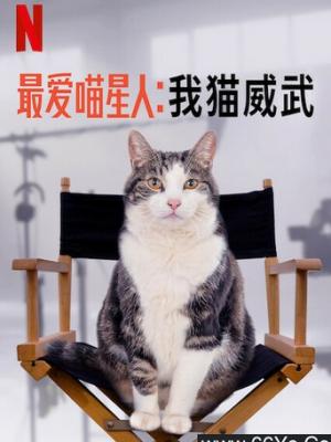 极限厨房 节目封面